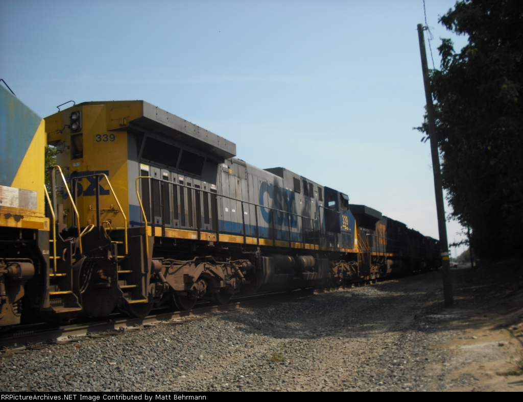 8 Headed monster!!!!!